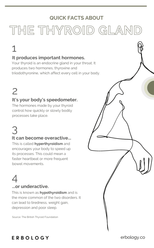 Thyroid Infographic