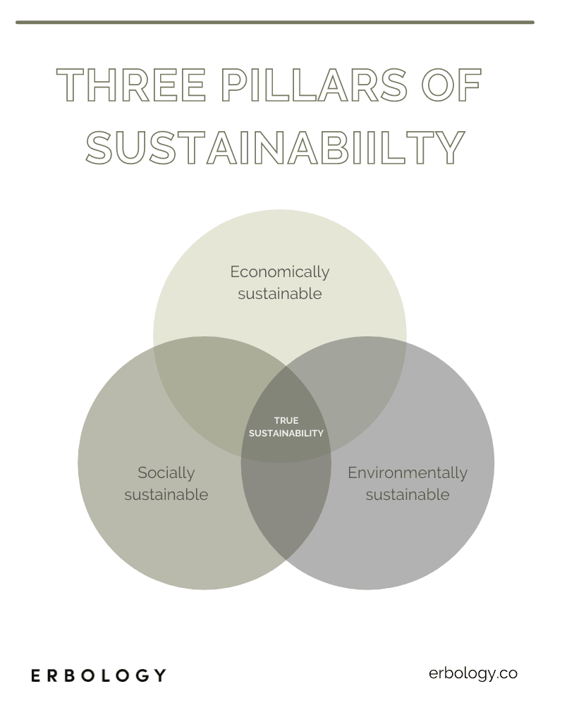 three pillars of sustainability