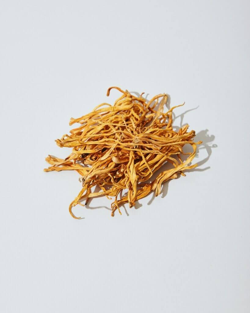 dried cordyceps