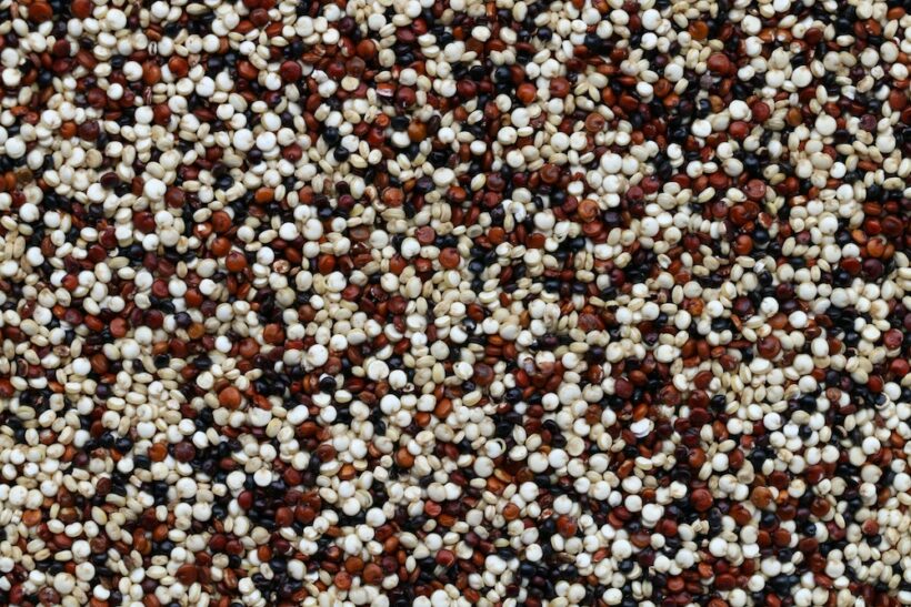 Amaranth vs quinoa: which is the healthier choice?