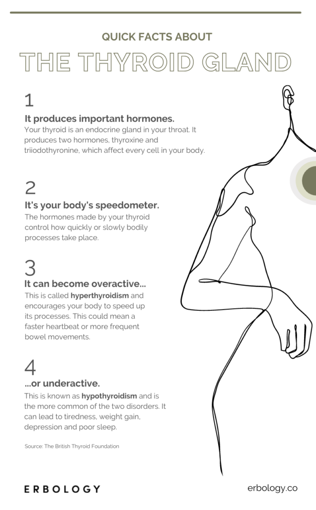 Infografica sulla tiroide
